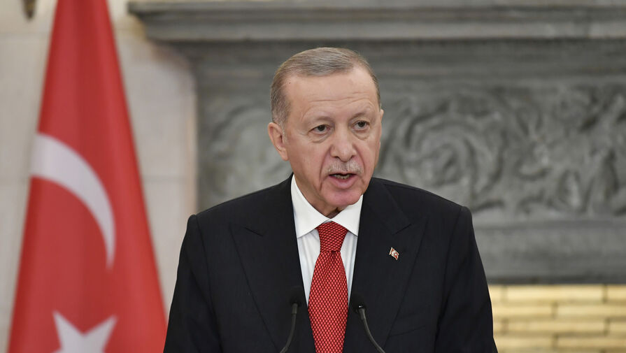 Политолог оценил слова Эрдогана о новом порядке на Южном Кавказе
